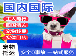 天河机场邮寄国际宠物托运 【国